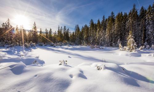 DAS MÄRCHENHAFTE BERGDORF IN SKI AMADÉ