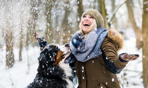© iStock / kzenon Für dich und deinen pelzigen Freund: Die besten Outdooraktivitäten