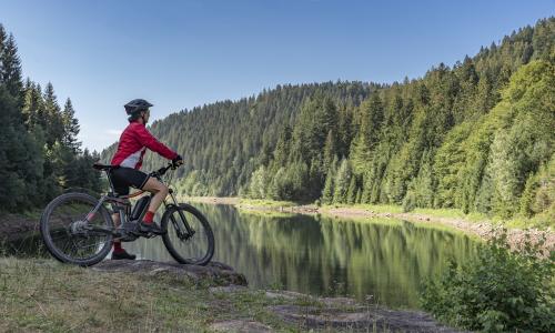 MTB-History: Wir nehmen die Herkunft des Mountainbikes unter die Lupe