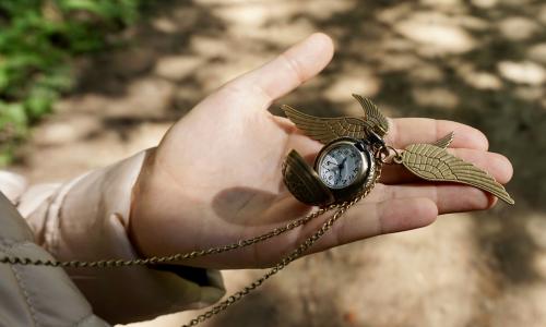 © iStock / Zontica Quidditch und Co.