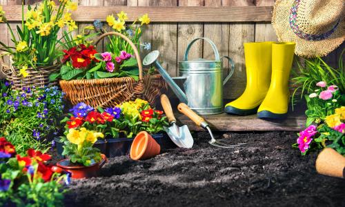 © iStock / AlexRaths Keine Zeit für einen Marathon? Diese 7 Gartenarbeiten gehen deinem Fett an den Kragen
