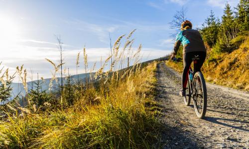 © Fotograf / Adobe Stock / Gorilla Was trägt die Grüne Bewegung zum Thema Gesundheit und Fitness bei?