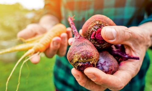 Superfoods: das Gute so nah