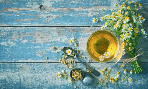 Heilpflanzen statt Pharmakeule: Die 4 besten Hausmittel für die Erkältungszeit