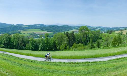 Worauf wartest du? 5 Dinge, die ein Radfahrer diesen Sommer unbedingt noch machen sollte