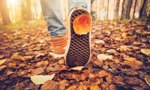 30 Minuten täglich: Die gesundheitlichen Benefits von Spaziergängen