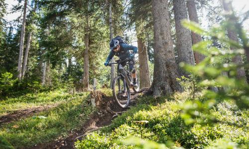 MAGURA eSTOP – Maximale Performance &amp; Sicherheit fürs E-Bike