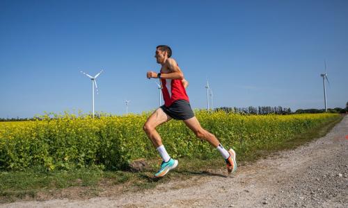 © Fotograf / EVN Windpark Run Tattendorf ÖLV Herbst Cup