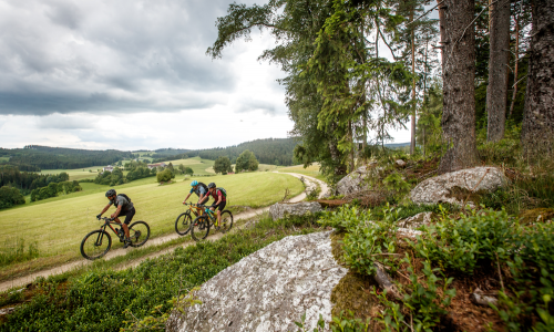 © Fotograf / Waldviertel Tourismus / Erwin Haiden Waldviertler Mountainbike-Erlebnis