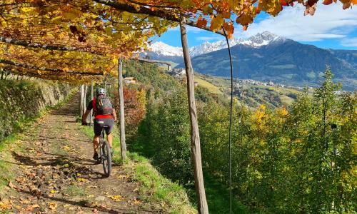 BIKEPRO: Traumjob Mountainbike Guide