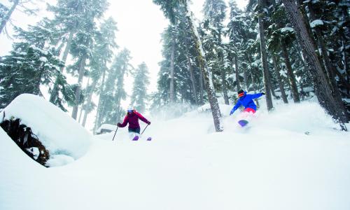 Natur pur: Es gibt sie noch - Skigebiete, die auf Naturschnee setzen