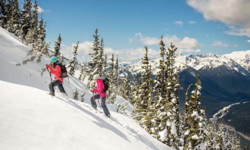 Von weit bis steil: Gerade im Corona-Winter liegt Winterwandern im Trend