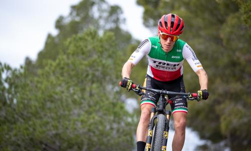 Pirelli: Klassiker mit Biss