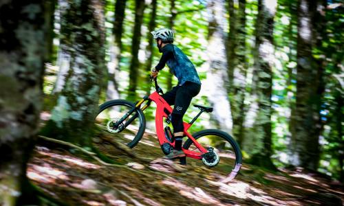Ein perfekter Allrounder: Das Xtep Carbon von BH Bikes