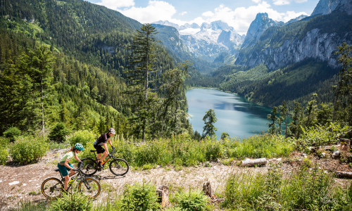 Viel Rad, wenig Geld: Wie teuer müssen Mountainbikes sein?