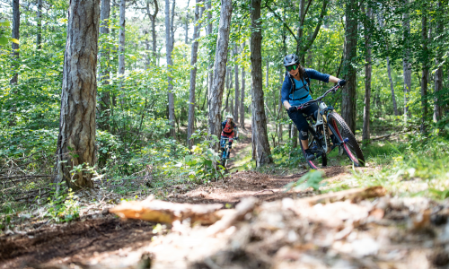 Unterwegs in Niederösterreich: Wienerwald, Wexl, Alpen und viel Granit für Biker