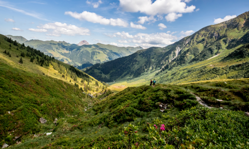 Urlaub in den Kitzbüheler Alpen: Hier gibt's von allem etwas mehr!