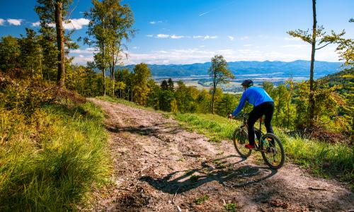 Haltung bewahren: Die 7 besten Fahrtechniktipps für Mountainbiker