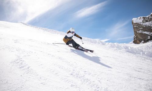 Made-in-Austria-Qualität auf der Skipiste: Salomon erweitert seine S/Force Ski-Kollektion