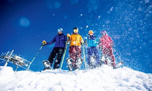 Die Suche nach dem Ski: So findet man das Pisten-Skimodell, das zu einem passt