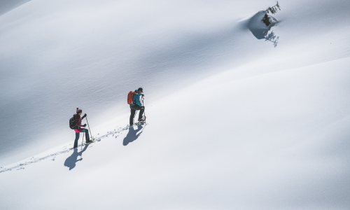 Geh auf Schnee: die richtigen Schneeschuhe für dich