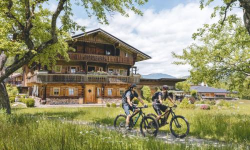TOP 20 MTB-Regionen in den Alpen