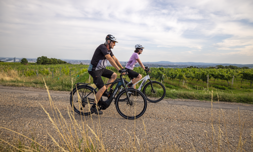 © Hersteller / KTM Hervis E-Bike Days: Teste die neuesten E-Bike-Modelle