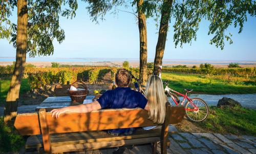 Top 20 Radwege am Wasser 2022