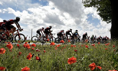 © Fotograf / komoot x Giro d'Italia Komoot wird Partner des Giro d’Italia – Radsportfans dürfen sich über inspirierende Routen und Inhalte freuen