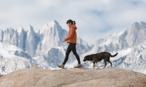 © Fotograf / Getty Images / MichaelSvoboda Wandern mit Hund: Diese Tipps solltest du beachten