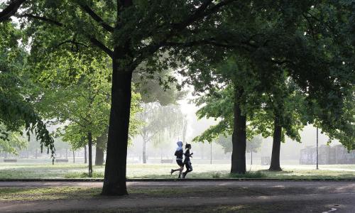 © Fotograf / Pixabay / wal_172619 Warum der Sport uns alle so fasziniert und begeistert