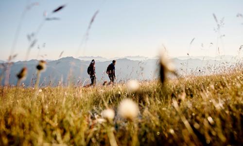 Wandern in Mittersill-Hollersbach-Stuhlfelden: Mit Blick auf den Nationalpark Hohe Tauern