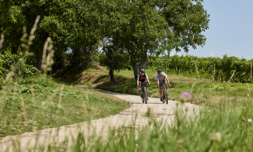 Niederösterreich: Graveln in allen Farben