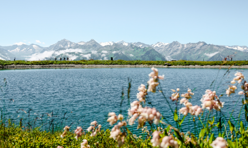 Am Puls der Natur: Sommererlebnis im Nationalpark Hohe Tauern