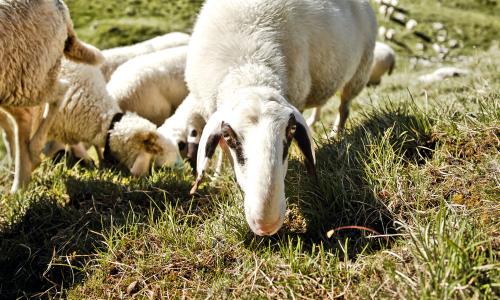 © Hersteller / Oberalp Es gibt nur einen Weg: Ein Streifzug durch nachhaltige Initiativen der Outdoor-Branche