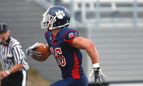 © Fotograf / KeithJJ (CCO-Lizenz) / pixabay.com / Die Hamburg Sea Devils mischen im europäischen Football mit. American Football: Hamburg Sea Devils bekommen neuen Quarterback