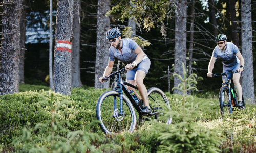 Südsteirische MTB-Vorreiter: Mountainbike Rad Vision 2025-2030