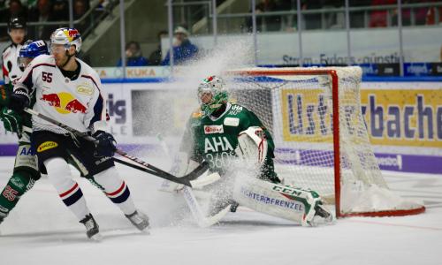 Eishockey in Österreich und Deutschland