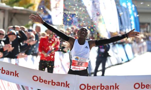 Sportliches Großereignis: Der Oberbank Linz Donau Marathon feiert am 23. Oktober Jubiläum