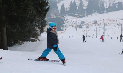 © Fotograf / pixabay.com @ vitaliy-m (CC0 Creative Commons) / Im Berchtesgadener Land kommen auch kleine Skifahrer auf ihre Kosten, denn es gibt unzählige Übungshügel. Klein, aber fein: Skigebiete im Berchtesgadener Land (auch für Familien/Kinder)