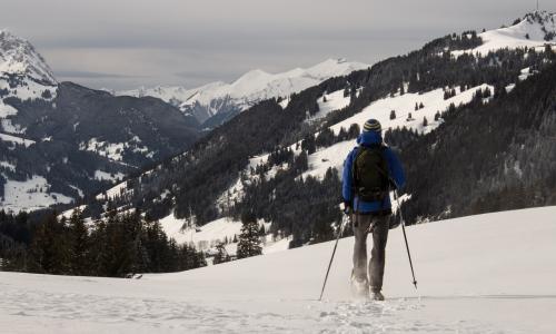 © Fotograf / Bananebrei via pixabay.com / Zum Schneeschuhwandern eignen sich vor allem zugeschneite Wanderwege. Darum solltest du Schneeschuhwandern ausprobieren