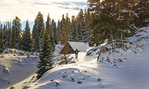 Top 20 Winteralternativen 2022