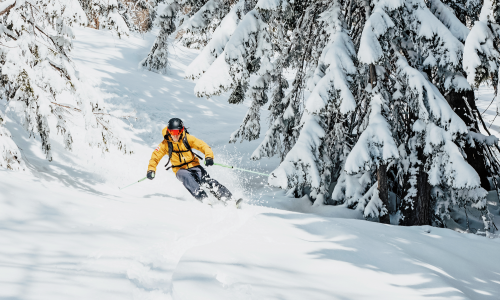 Top 20 Freeridegebiete 2022