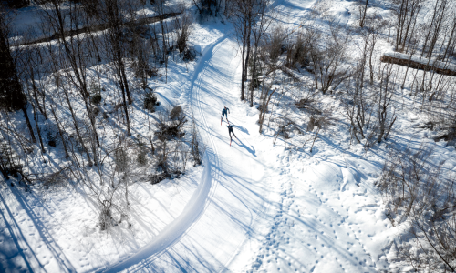 © Fotograf / Hervis Langlauf Faistenau / Klaus Listl / Meditativ. Durch Wiesen, Wälder und Felder gleiten und die Winterlandschaft genießen – da geht das Herz auf (hier in der Fuschlseeregion.) Urlaub in der Spur: Was Urlaubsgäste in Langlauf-Regionen erwarten können