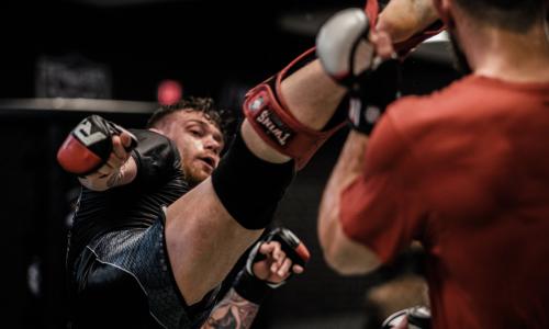 Mixed Martial Arts - Der Hype um den Profisport