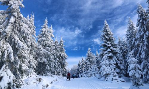 © Fotograf / Pixabay / katerinavulcova Rückblick auf den FIS Langlauf-Weltcup 2022/23: Sieger und Ergebnisse