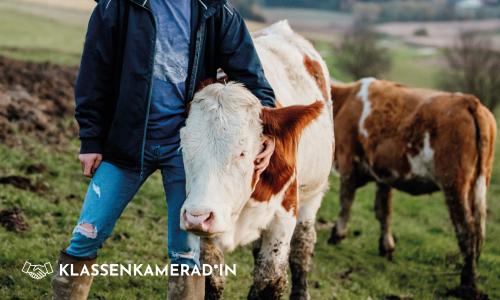 Das "Klassenzimmer auf der Alm" sucht eine Heimat
