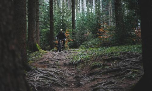 © Fotograf / Pixabay / simonfdr Rennrad, Gravelbike und Mountainbike: Welches Rad eignet sich für welchen Zweck?