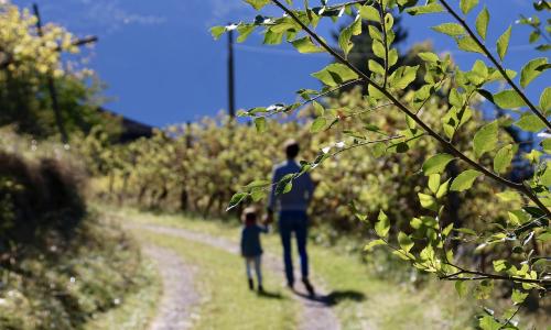 Ein aktives Familienleben
