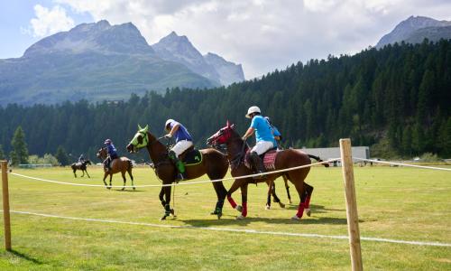 Das Poloshirt – ein kultiger Begleiter beim Sport und in der Freizeit